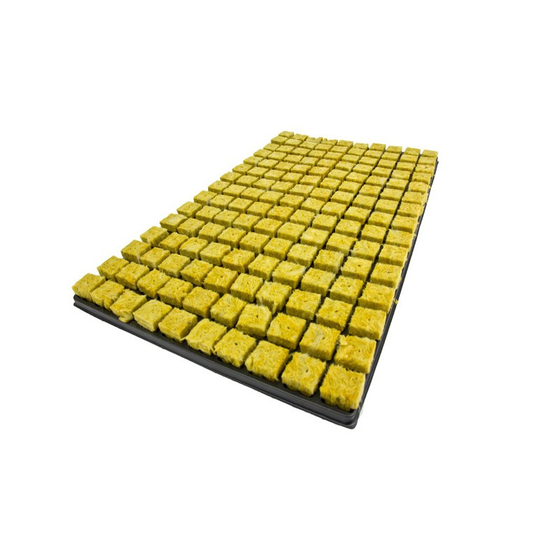 Cultilene Propagator 150 Cubes in a Tray