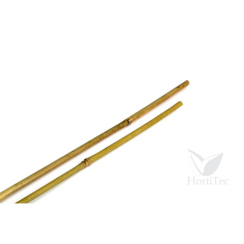 Бамбукови пръчки TUTOR BAMBU 1,20м. (500 U)