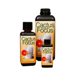 Cactus and Succulent Focus...