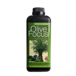 Olive Focus 300мл./1л. -...
