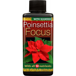 Poinsettia Focus  100мл. -...